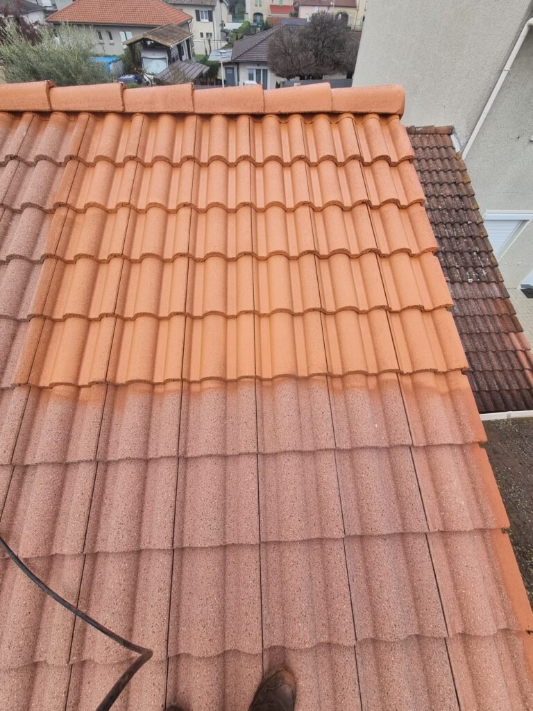 Remplacement de tuiles Monestier-du-Percy