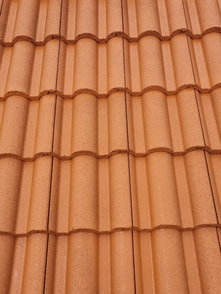 Remplacement de tuiles Monestier-du-Percy