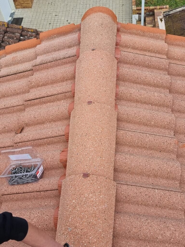 Remplacement de tuiles Monestier-du-Percy