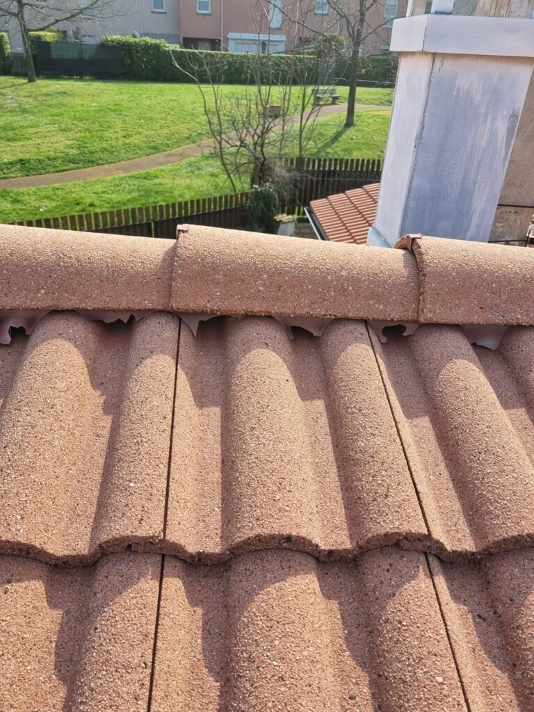 Remplacement de tuiles Monestier-du-Percy