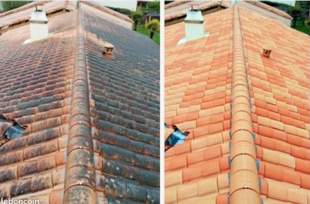 Nettoyage de toiture Monestier-du-Percy